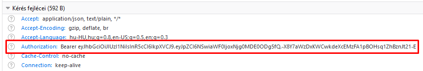Authorization header in Web Console